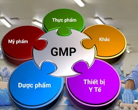 Lợi ích của GMP trong lĩnh vực gia công thực phẩm chức năng