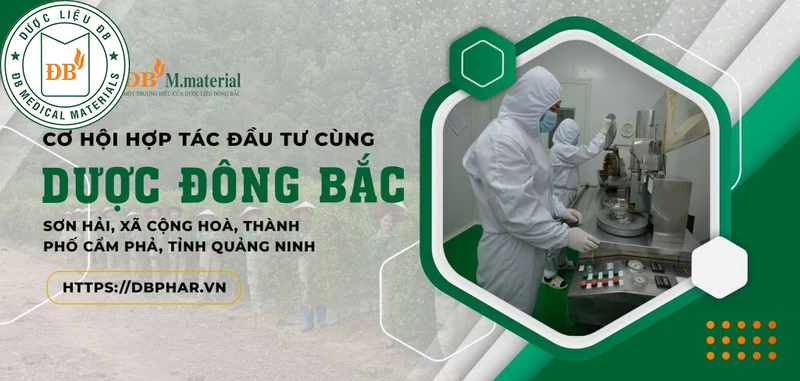loi-ich-ve-chi-phi-thoi-gian-va-chat-luong-khi-chon-dbphar Lợi ích về chi phí, thời gian và chất lượng khi chọn Dbphar